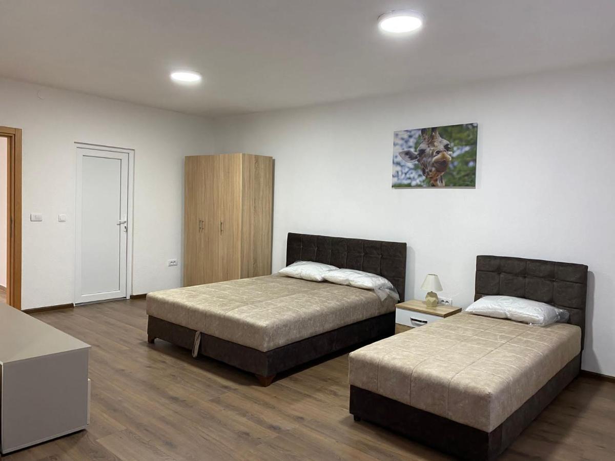 셰니차 Vila Centar Mb B&B 외부 사진